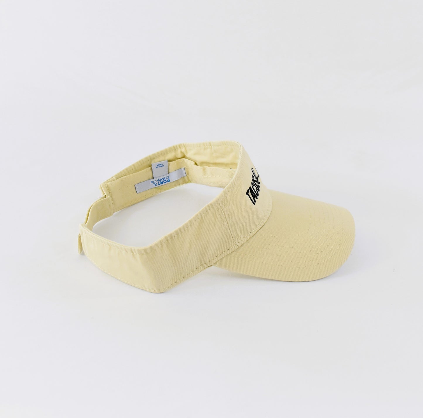 Visor
